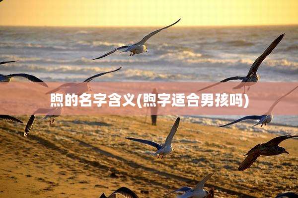 煦的名字含义(煦字适合男孩吗)