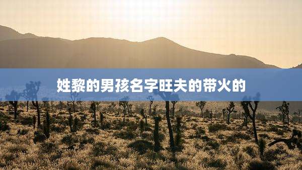 姓黎的男孩名字旺夫的带火的