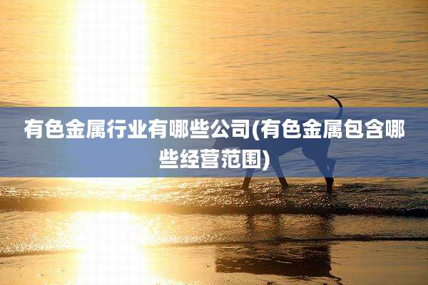 有色金属行业有哪些公司(有色金属包含哪些经营范围)