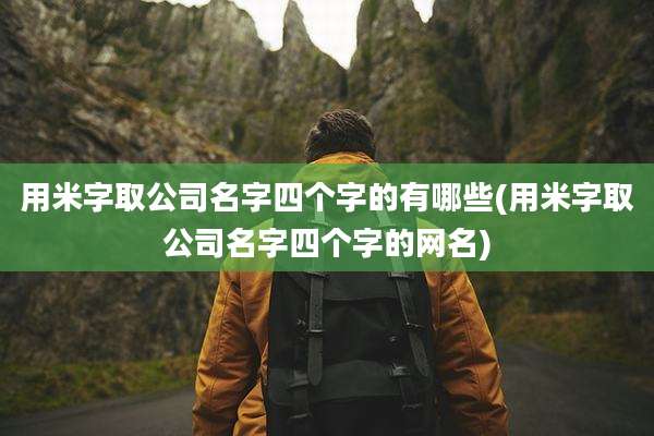 用米字取公司名字四个字的有哪些(用米字取公司名字四个字的网名)