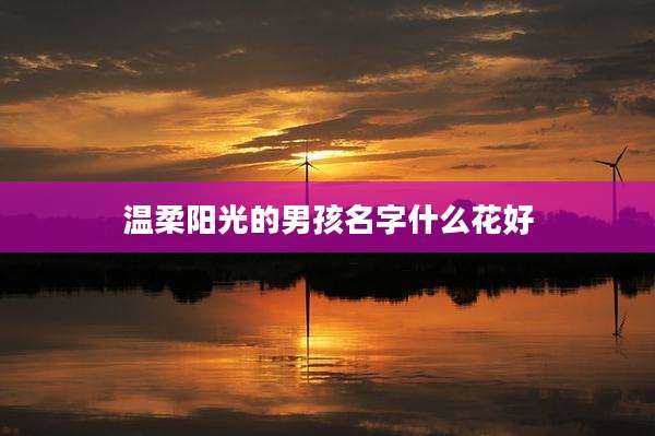 温柔阳光的男孩名字什么花好