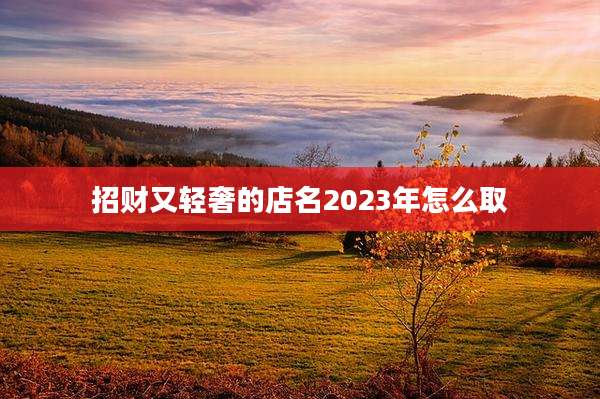招财又轻奢的店名2023年怎么取