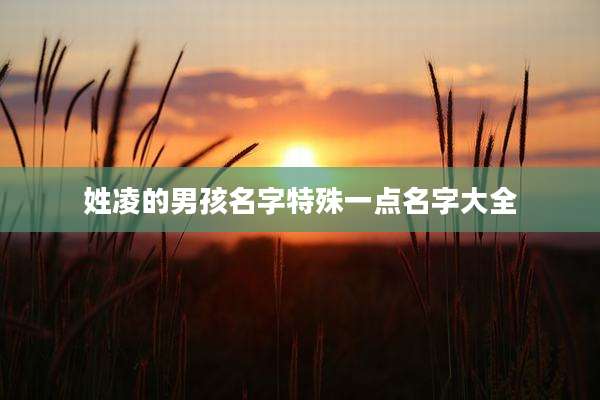 姓凌的男孩名字特殊一点名字大全