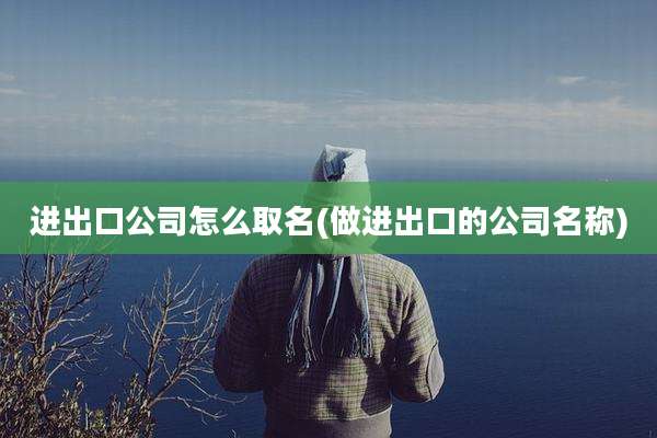 进出口公司怎么取名(做进出口的公司名称)
