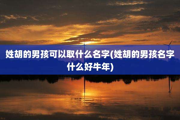 姓胡的男孩可以取什么名字(姓胡的男孩名字什么好牛年)