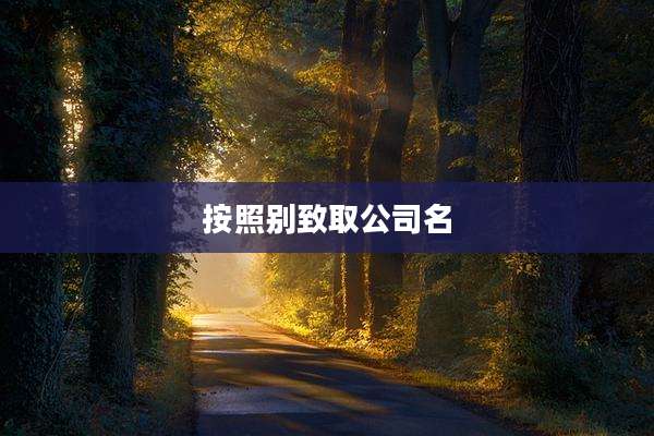 按照别致取公司名