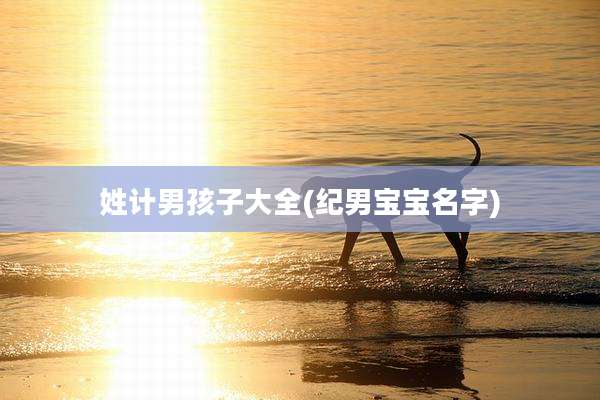 姓计男孩子大全(纪男宝宝名字)