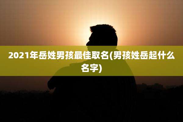 2021年岳姓男孩最佳取名(男孩姓岳起什么名字)