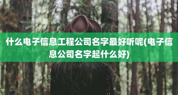 什么电子信息工程公司名字最好听呢(电子信息公司名字起什么好)