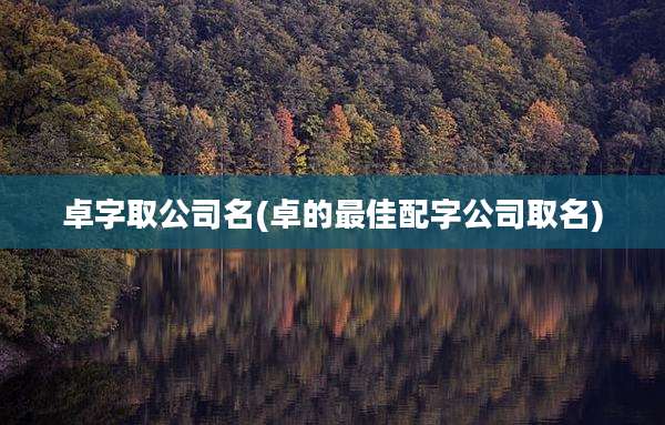 卓字取公司名(卓的最佳配字公司取名)