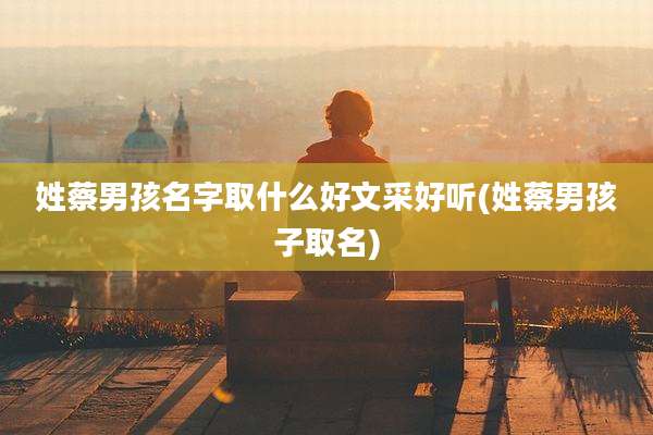 姓蔡男孩名字取什么好文采好听(姓蔡男孩子取名)