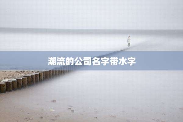 潮流的公司名字带水字