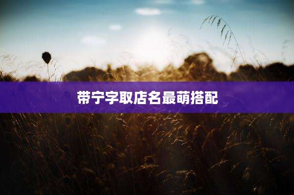 带宁字取店名最萌搭配