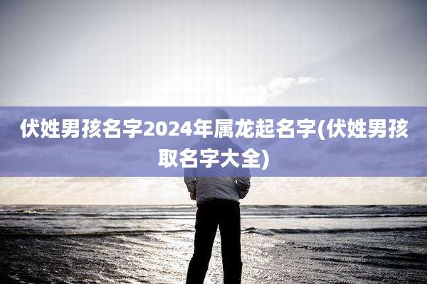 伏姓男孩名字2024年属龙起名字(伏姓男孩取名字大全)