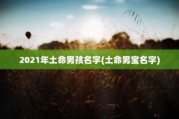 2021年土命男孩名字(土命男宝名字)