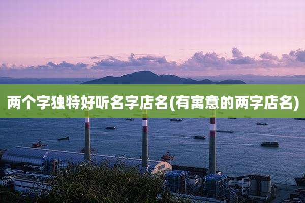 两个字独特好听名字店名(有寓意的两字店名)