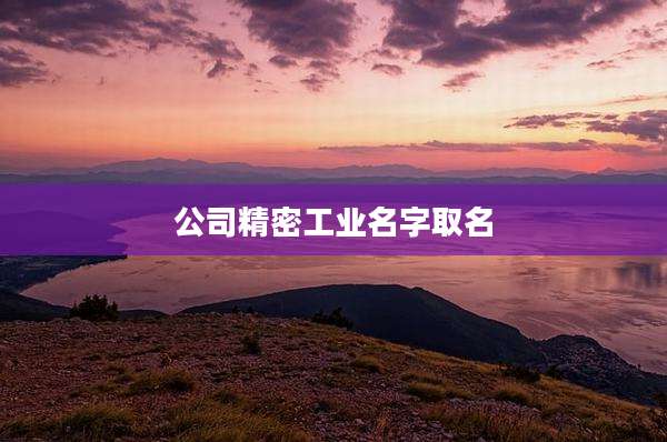 公司精密工业名字取名