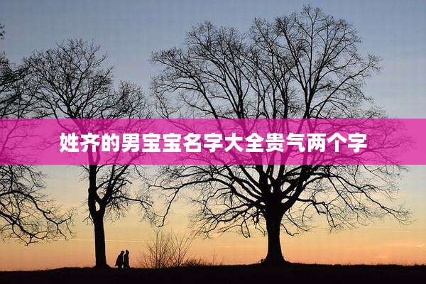 姓齐的男宝宝名字大全贵气两个字