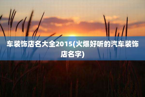 车装饰店名大全2015(火爆好听的汽车装饰店名字)
