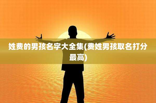 姓费的男孩名字大全集(费姓男孩取名打分最高)