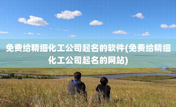 免费给精细化工公司起名的软件(免费给精细化工公司起名的网站)