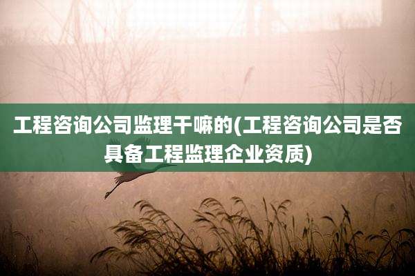 工程咨询公司监理干嘛的(工程咨询公司是否具备工程监理企业资质)