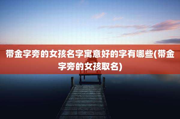 带金字旁的女孩名字寓意好的字有哪些(带金字旁的女孩取名)