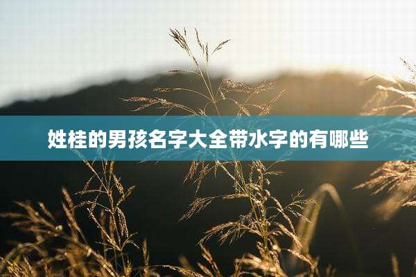 姓桂的男孩名字大全带水字的有哪些