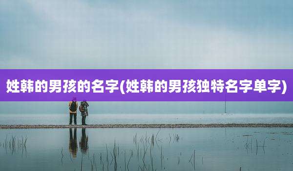 姓韩的男孩的名字(姓韩的男孩独特名字单字)