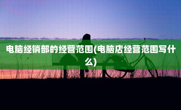 电脑经销部的经营范围(电脑店经营范围写什么)