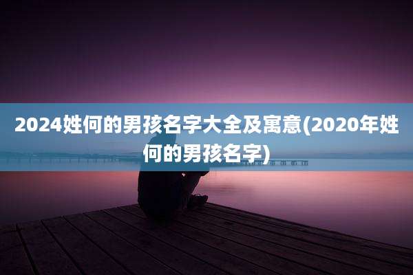 2024姓何的男孩名字大全及寓意(2020年姓何的男孩名字)