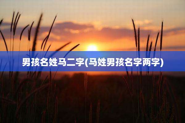 男孩名姓马二字(马姓男孩名字两字)