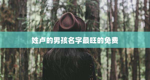 姓卢的男孩名字最旺的免费
