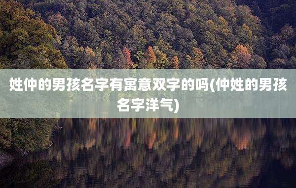 姓仲的男孩名字有寓意双字的吗(仲姓的男孩名字洋气)