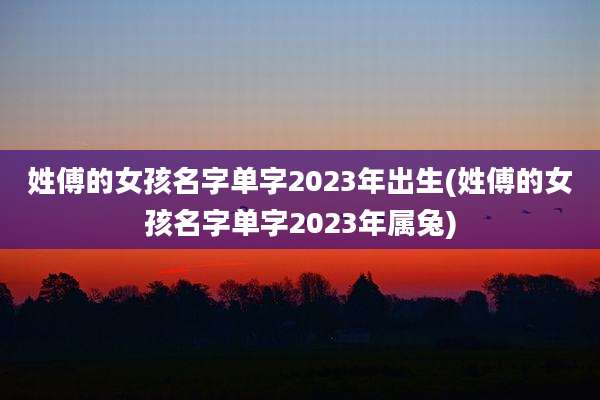 姓傅的女孩名字单字2023年出生(姓傅的女孩名字单字2023年属兔)
