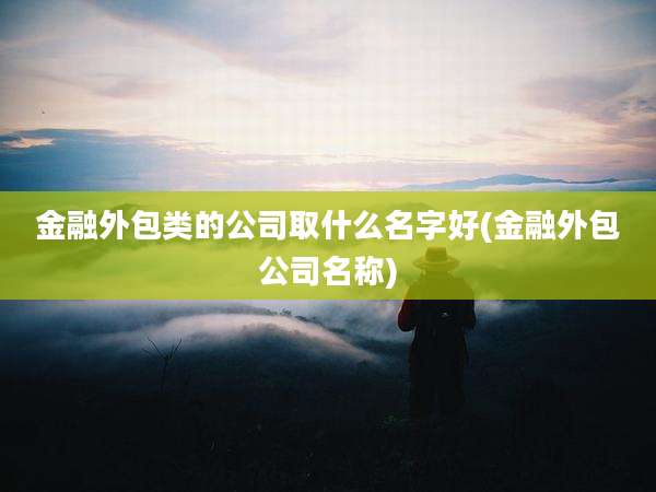 金融外包类的公司取什么名字好(金融外包公司名称)