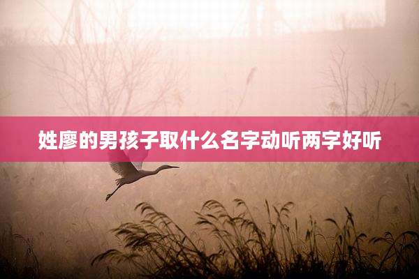 姓廖的男孩子取什么名字动听两字好听
