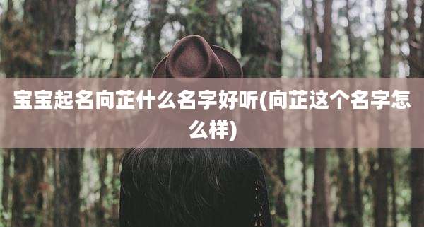 宝宝起名向芷什么名字好听(向芷这个名字怎么样)
