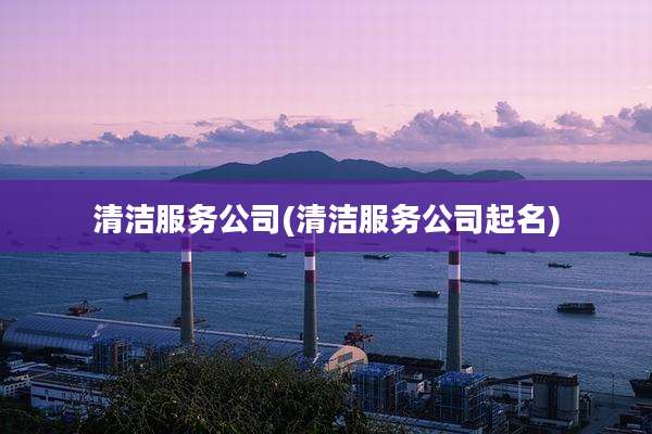 清洁服务公司(清洁服务公司起名)