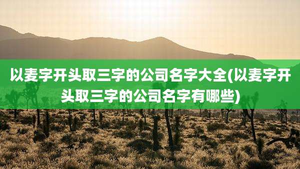 以麦字开头取三字的公司名字大全(以麦字开头取三字的公司名字有哪些)