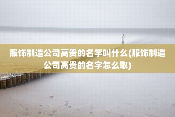 服饰制造公司高贵的名字叫什么(服饰制造公司高贵的名字怎么取)
