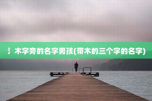 氵木字旁的名字男孩(带木的三个字的名字)