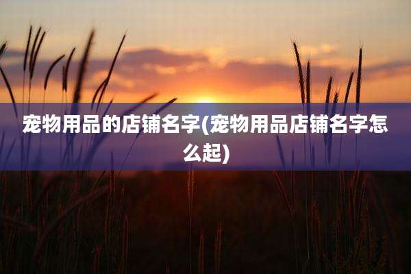 宠物用品的店铺名字(宠物用品店铺名字怎么起)