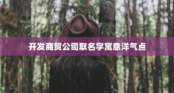 开发商贸公司取名字寓意洋气点