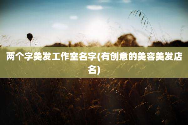两个字美发工作室名字(有创意的美容美发店名)