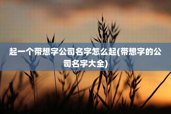 起一个带想字公司名字怎么起(带想字的公司名字大全)