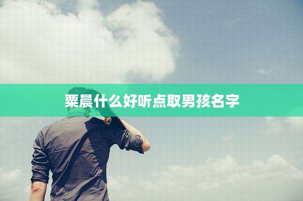 粟晨什么好听点取男孩名字