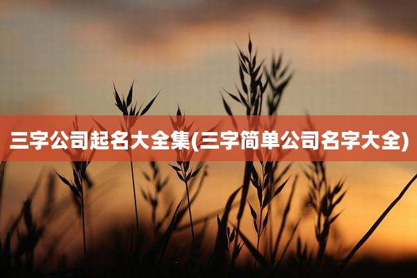 三字公司起名大全集(三字简单公司名字大全)