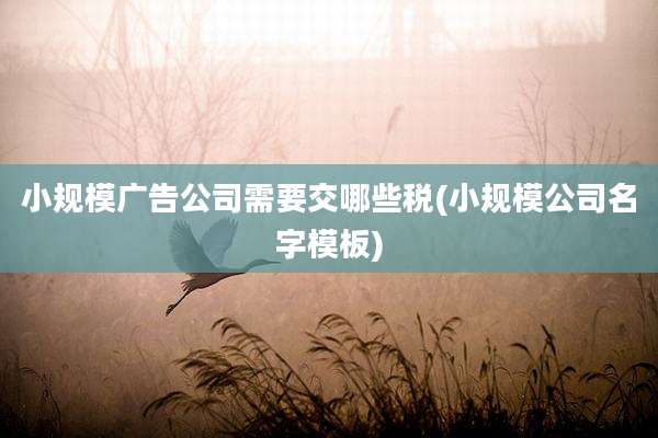 小规模广告公司需要交哪些税(小规模公司名字模板)