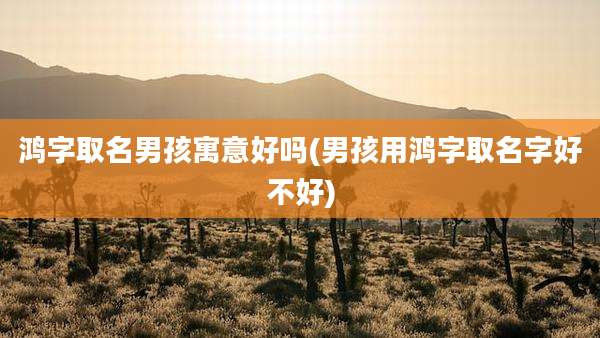 鸿字取名男孩寓意好吗(男孩用鸿字取名字好不好)
